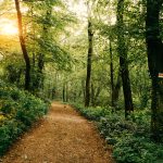 Hiking Trails in Washington Township