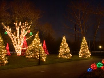 Washington Township Christmas Tree Lighting